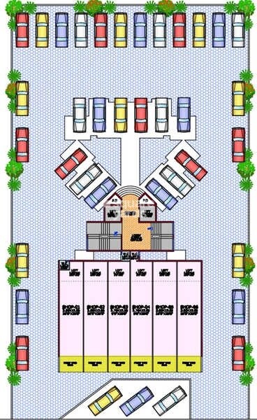Platinum Tulsi Sapphire
