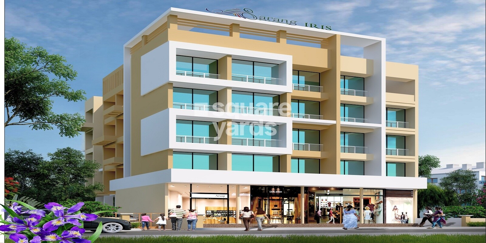 Sarang Iris Featured Image