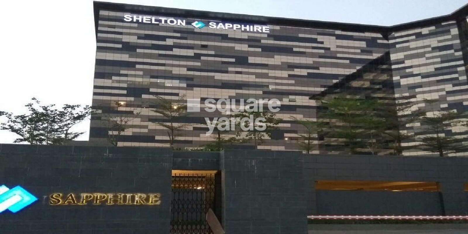 shelton-sapphire