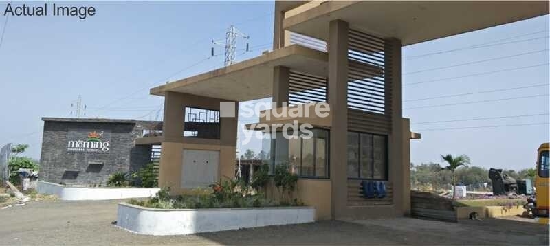 Signature The Morning