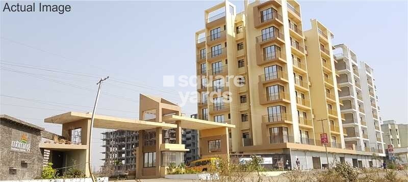 Signature The Morning