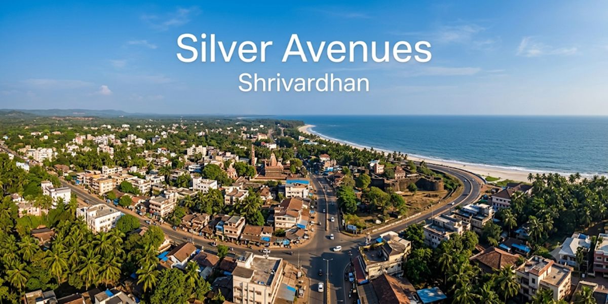 Silver Avenues Cover Image