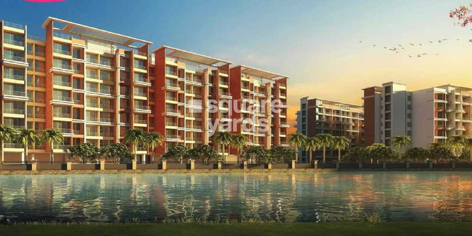 Silverleaf Saushilya Featured Image