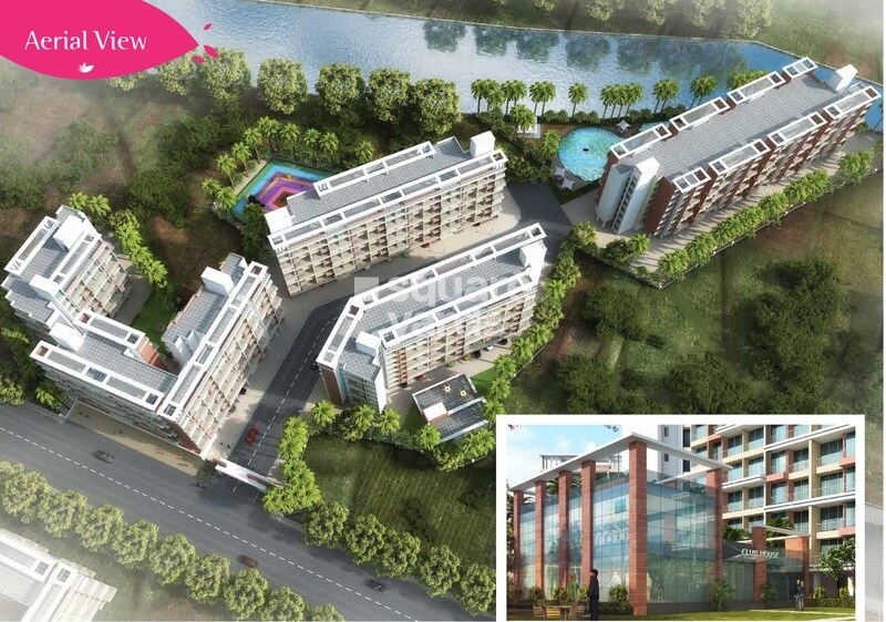 Silverleaf Saushilya