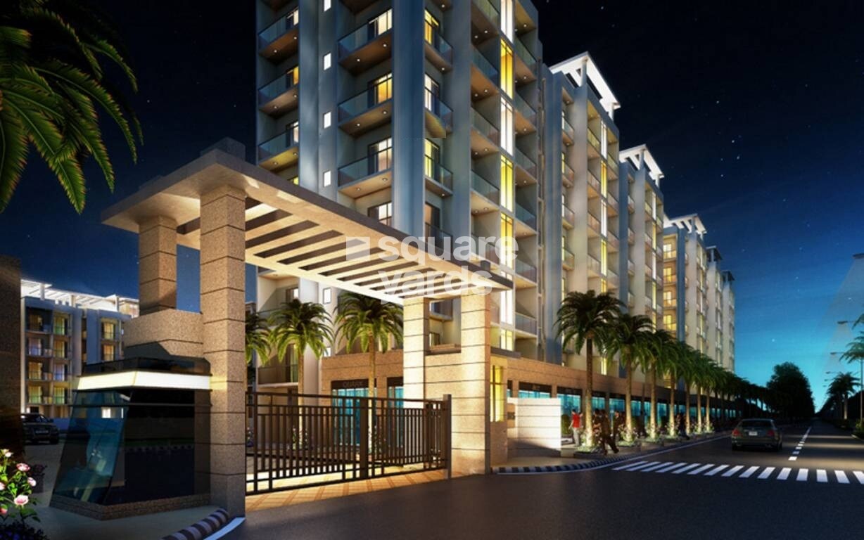 Tater Florence Olive