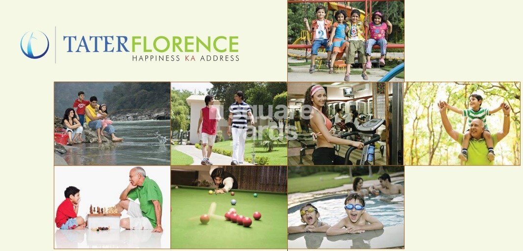 Tater Florence Orchid