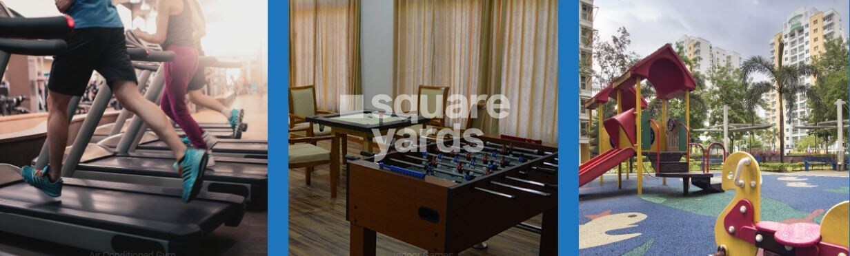 Tricity Luxuria Amenities-Features