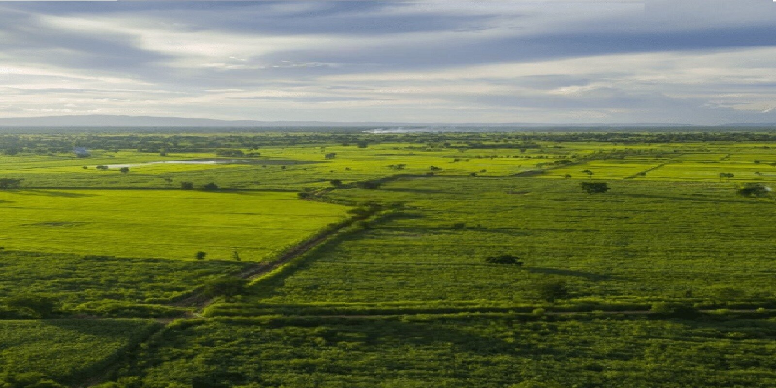 Urban Barun Valley Featured Image