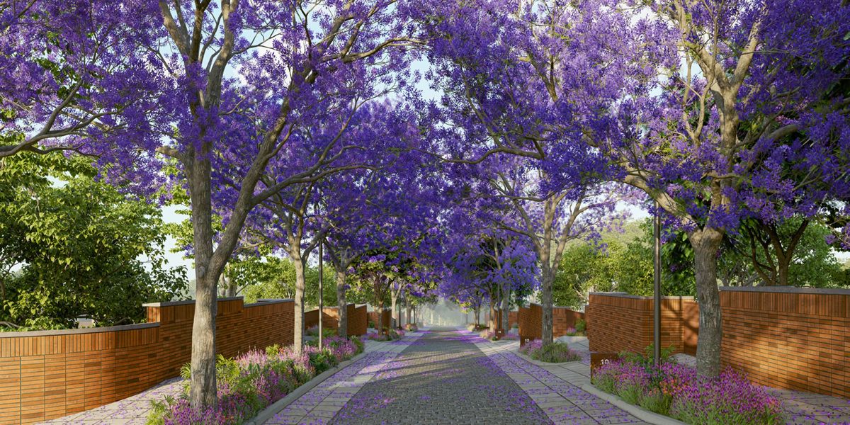 Total Violet Hill
