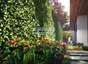 wadhwa magnolia cluster 2 amenities features9