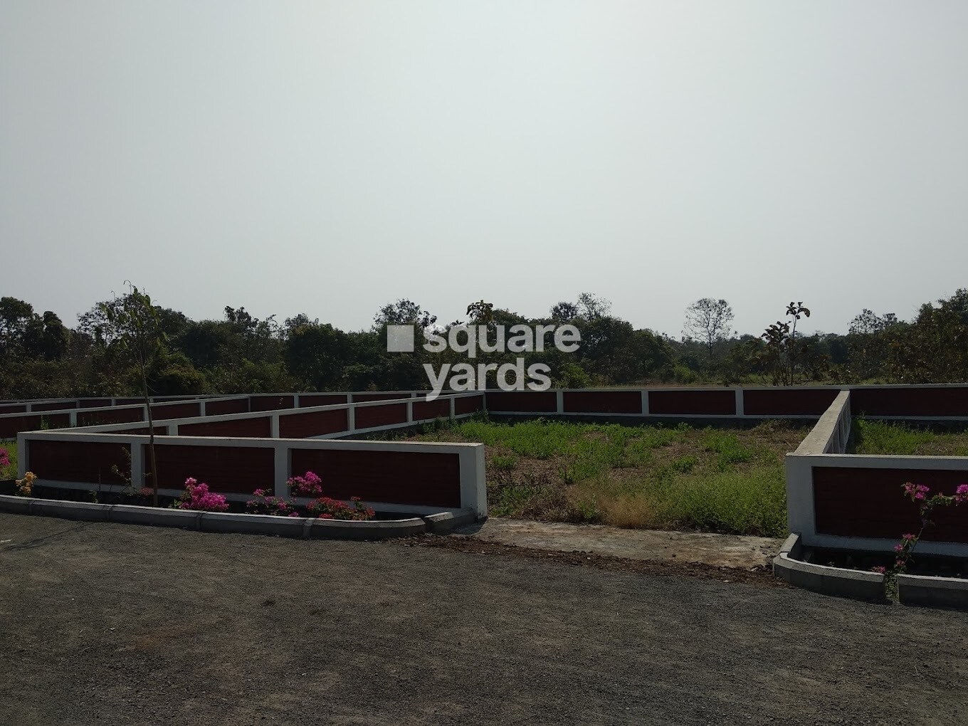 Wings Alibaug Life Plot Images 1