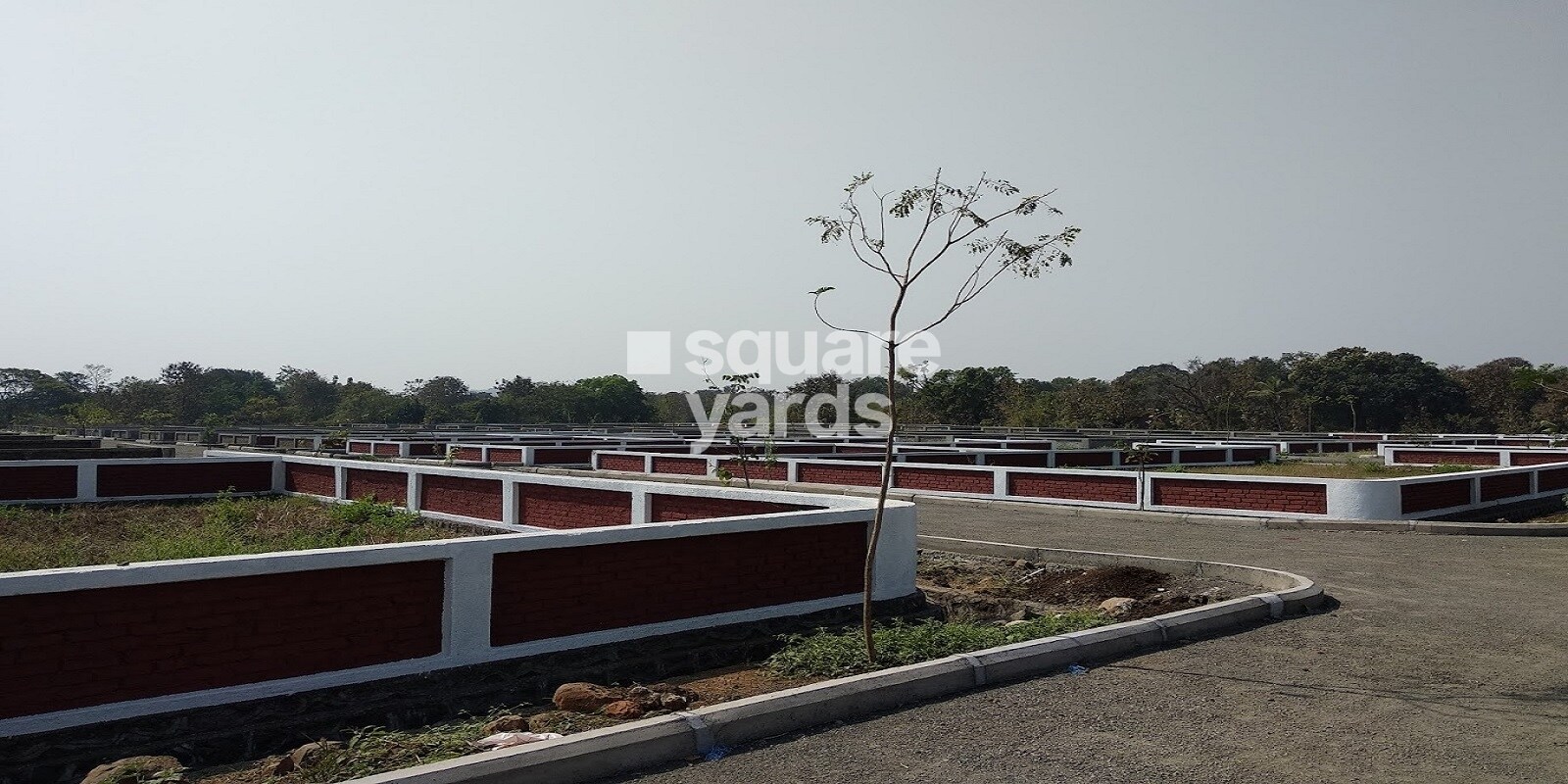 Wings Alibaug Life Featured Image