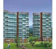 Adhiraj Cyprees Aqua