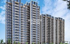 Emperia Hill Creast Featured Image