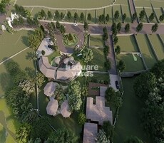 Greenland Meraki Featured Image