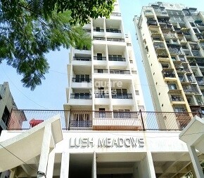 Kailash Lush Meadows