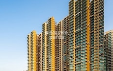 Marathon Nexzone Vega 1 Featured Image
