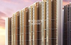 Marathon Nexzone Zenith 2 Featured Image