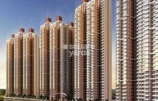 Marathon Vega Featured Image