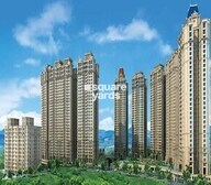 Persipina Acacia Video