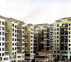 Planet Highlands Featured Image