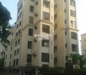 Progressive Amber CHS