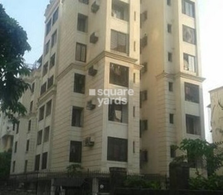 Progressive Amber CHS Cover Image