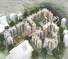 Shakti The Green Orchid Featured Image