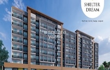 Shelter Dream Featured Image