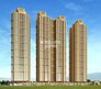 Shreeji Divine Flagship Image