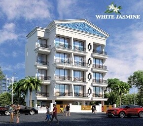 SPS White Jasmine