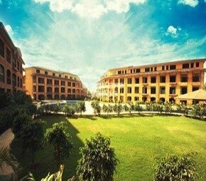 Sterling Discover Condos