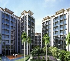 Tater Florence Olive Featured Image