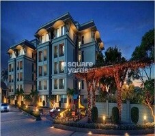 Tulsi Nirvana Featured Image