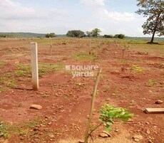 Vikrant Ruby Featured Image