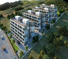 Yushan Maple Casa Loma Featured Image