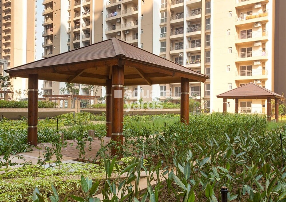 ABA Cleo Gold Amenities-Features 8