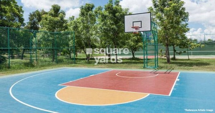 ABA Ivy County Amenities-Features 5