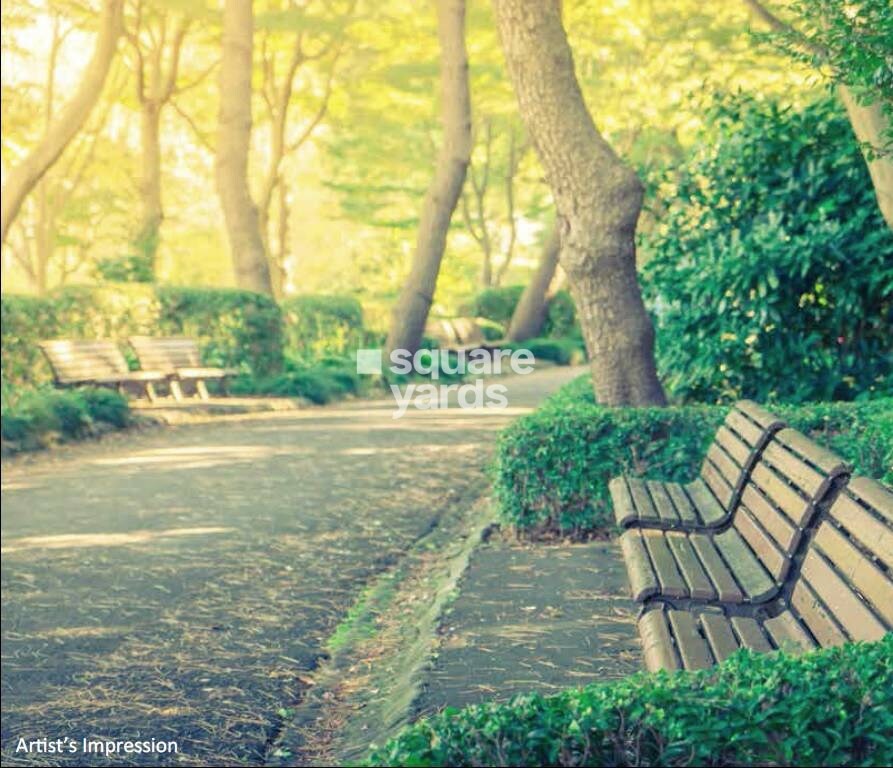 ACE Parkway Amenities-Features