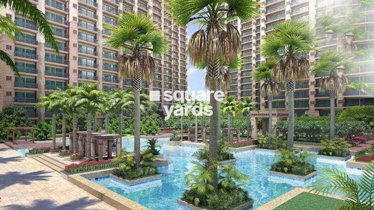 Ace Starlit Amenities-Features 1