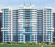 Aims Golf Avenue II