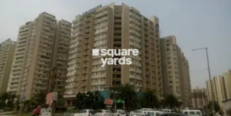 Ajnara Daffodil Project Thumbnail Image