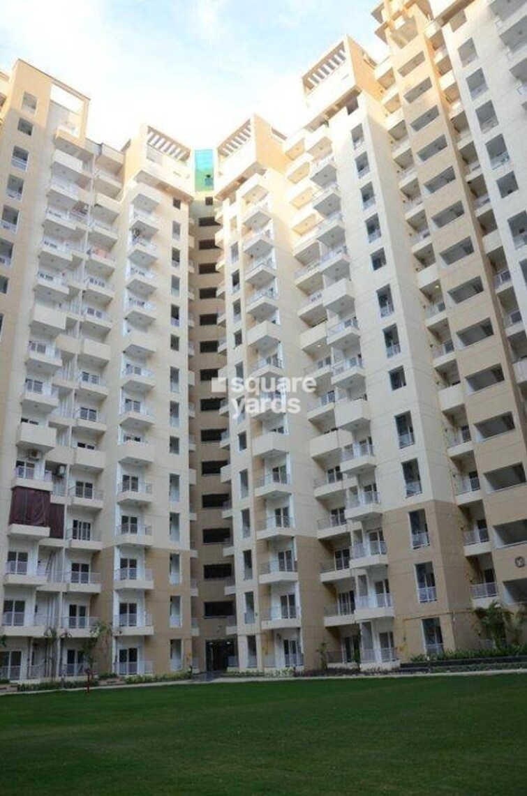 Ajnara Daffodil Tower View 8