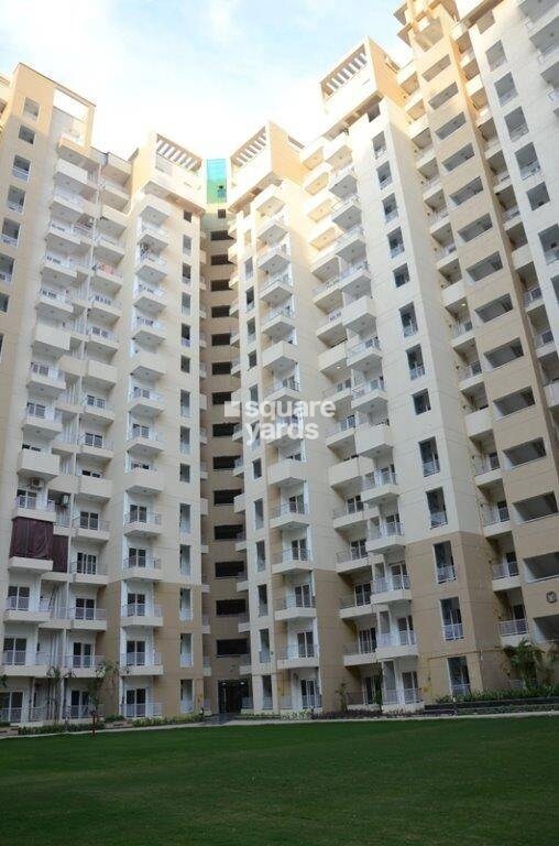 Ajnara Daffodil Tower View 8