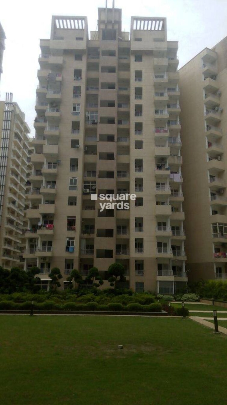 Ajnara Daffodil Tower View 1