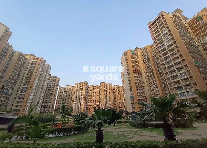 Amrapali Pan Oasis