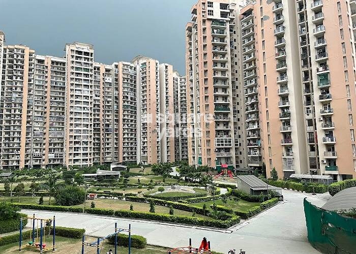 Amrapali Pan Oasis