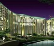 Amrapali Platinum