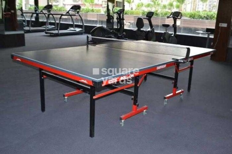 Amrapali Zodiac Amenities-Features 4