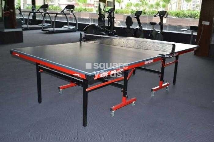 Amrapali Zodiac Amenities-Features 4